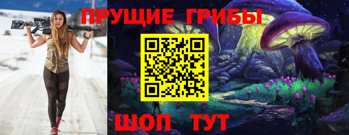 Псилоцибиновые грибы GOLDEN TEACHER Моздок